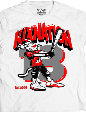 kixnation Air Jordan Retro 13 True Red Panther custom Matching T-shirt